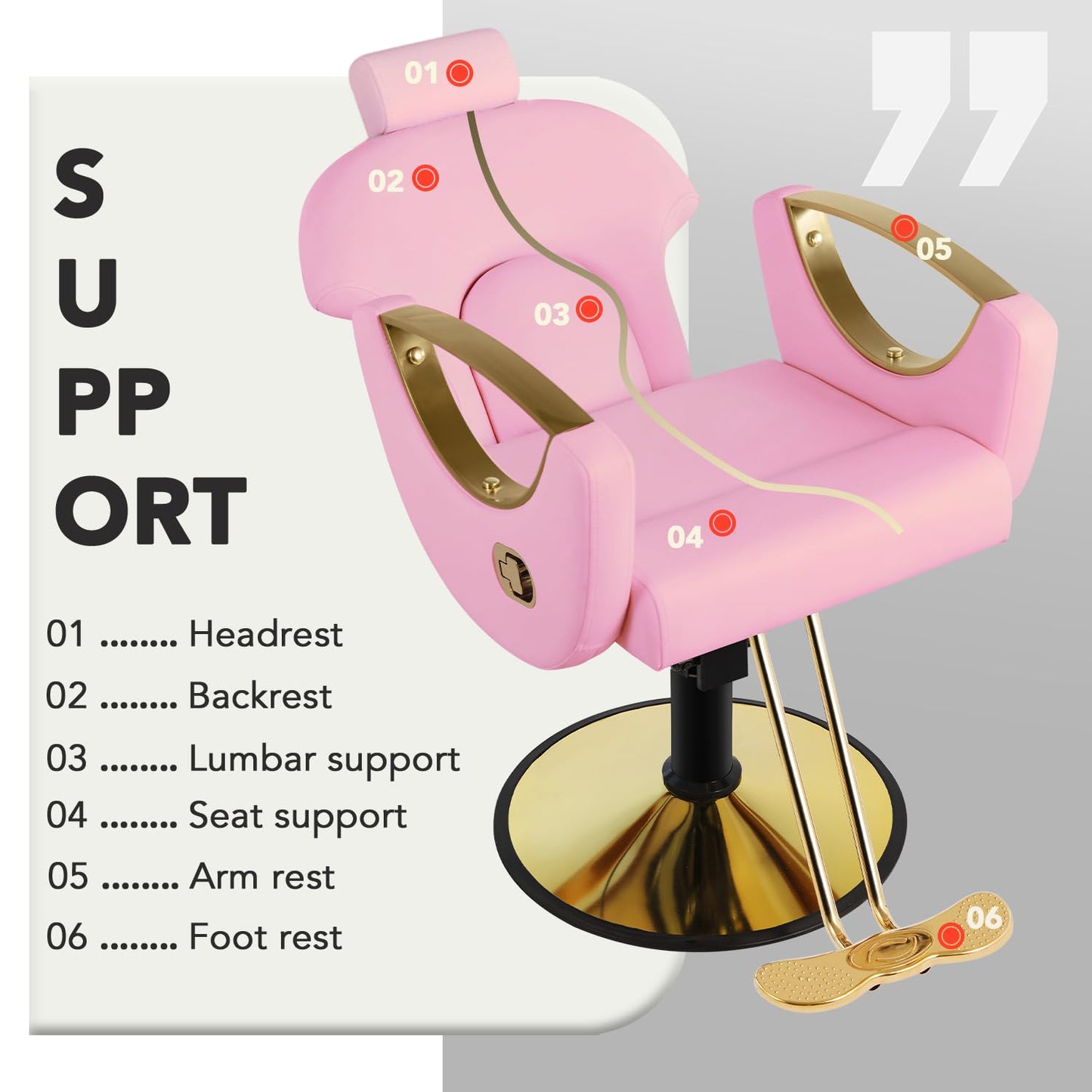 Salon Chair, Reclining Salon Chair for Hair Stylist, Barber Chair with Heavy Duty Hydraulic Pump, Tattoo Braiding Beauty Spa Equipment, Pink